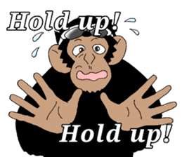 CHIMP ANDY of chimpanzee 4th ver.English sticker #13986622