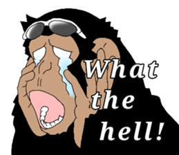 CHIMP ANDY of chimpanzee 4th ver.English sticker #13986625