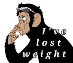 CHIMP ANDY of chimpanzee 4th ver.English sticker #13986639