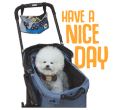 Bichon Tori sticker #13987601