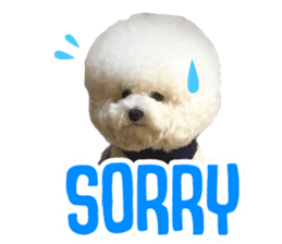 Bichon Tori sticker #13987607