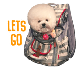 Bichon Tori sticker #13987608