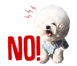 Bichon Tori sticker #13987610