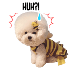 Bichon Tori sticker #13987616