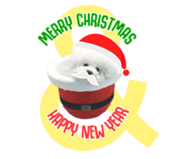 Bichon Tori sticker #13987619