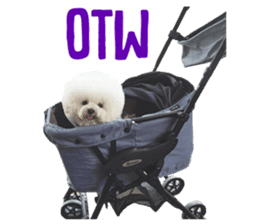 Bichon Tori sticker #13987621