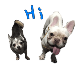 Little baby angel sticker #13987686