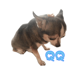 Little baby angel sticker #13987688