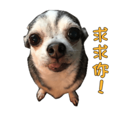 Little baby angel sticker #13987689