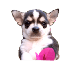 Little baby angel sticker #13987690