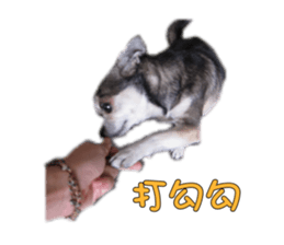 Little baby angel sticker #13987691