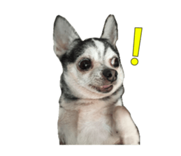 Little baby angel sticker #13987693