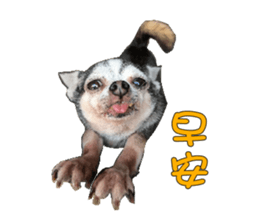 Little baby angel sticker #13987694