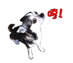 Little baby angel sticker #13987699