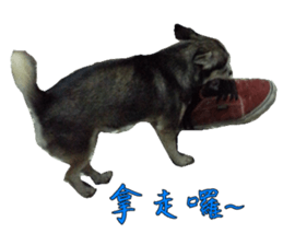 Little baby angel sticker #13987701