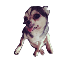 Little baby angel sticker #13987702