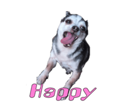 Little baby angel sticker #13987703