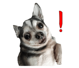 Little baby angel sticker #13987706