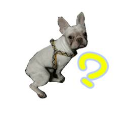 Little baby angel sticker #13987707