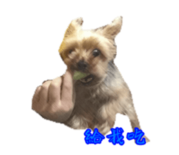 Little baby angel sticker #13987708