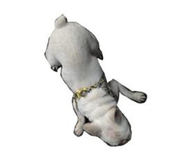 Little baby angel sticker #13987709