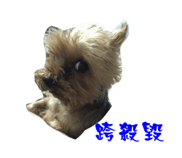 Little baby angel sticker #13987711