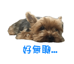 Little baby angel sticker #13987712