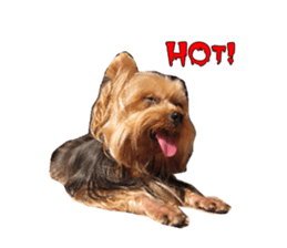 Little baby angel sticker #13987714