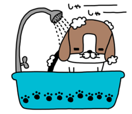 pandatoinunoinu sticker #13988088