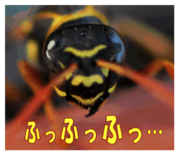 Reticent insects sticker #13988506