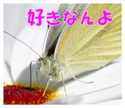Reticent insects sticker #13988508