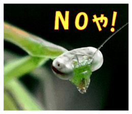 Reticent insects sticker #13988509