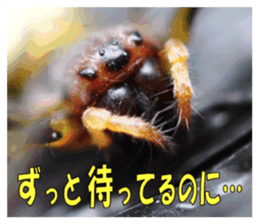 Reticent insects sticker #13988522
