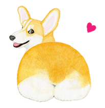 corgi motion sticker sticker #13988926
