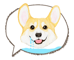 corgi motion sticker sticker #13988931