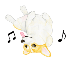 corgi motion sticker sticker #13988934