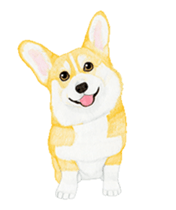 corgi motion sticker sticker #13988935