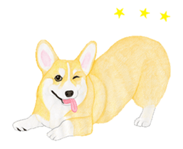 corgi motion sticker sticker #13988938