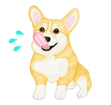 corgi motion sticker sticker #13988943