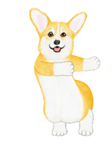 corgi motion sticker sticker #13988948