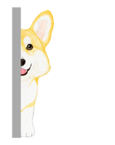 corgi motion sticker sticker #13988949