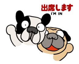 Superstar Duke sticker #13990579