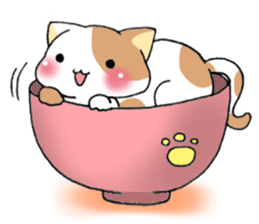 Bowl of cat sticker #13990806