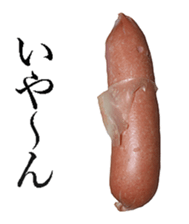 He is Wiener. sticker #13992275