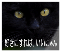 Stray cats in the garden sticker #13993169
