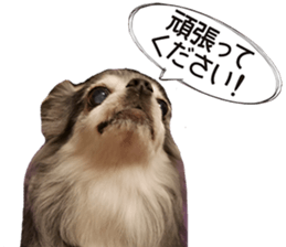 toi mania sticker #13993211