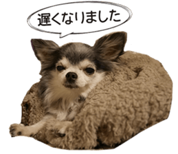 toi mania sticker #13993218