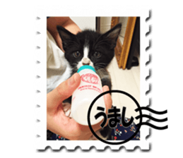 Howl3 sticker #13994447