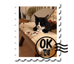 Howl3 sticker #13994450