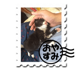 Howl3 sticker #13994451